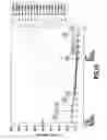 Fig. 32 - Recovery processing method of an electrode