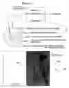 Fig. 02 - Greeting card device