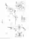 Fig. 02 - Joint type minnow