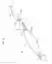 Fig. 03 - Joint type minnow