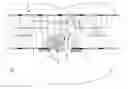 Fig. 01 - System and method for detecting individuals or objects in delimited spaces each having at least one entrance