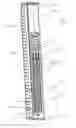 Fig. 02 - Condenser