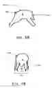 Fig. 07 - Linkable-shared friendship objects