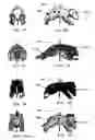Fig. 09 - Linkable-shared friendship objects