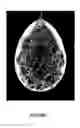 Fig. 02 - Method for producing decorative ornaments