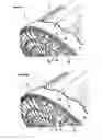 Fig. 11 - Drum