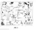 Fig. 03 - Large area, uniformly low dislocation density GaN substrate and process for making the same