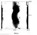 Fig. 07 - Large area, uniformly low dislocation density GaN substrate and process for making the same