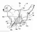 Fig. 01 - Pet restraining device