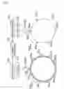 Fig. 06 - Fuel pressure detector for common rail type fuel injection apparatus, and common rail type fuel injection apparatus equipped with the fuel pressure detector