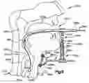 Fig. 08 - Medical device positioning system and method