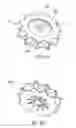 Fig. 08 - Multiple stage blowers and volutes therefor