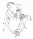 Fig. 20 - Multiple stage blowers and volutes therefor