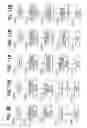 Fig. 09 - Nasal gas delivery system and method for use thereof