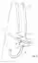 Fig. 03 - Nasal and oral cannula having two capabilities and method of producing same