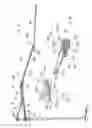 Fig. 04 - Multiple-fold umbrella as quickly opened and closed
