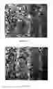 Fig. 04 - Process for generating a semi-solid slurry