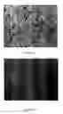 Fig. 07 - Process for generating a semi-solid slurry