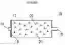 Fig. 02 - Methods and devices for treating severe peripheral bacterial infections