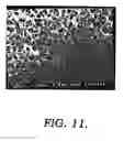 Fig. 12 - Method of making and using a hollow fiber microfiltration membrane