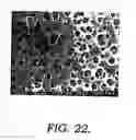 Fig. 23 - Method of making and using a hollow fiber microfiltration membrane