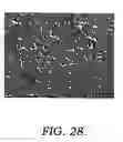 Fig. 29 - Method of making and using a hollow fiber microfiltration membrane