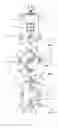 Fig. 02 - Apparatus for grasping objects in space