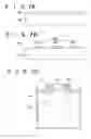 Fig. 08 - Image recording medium and method of manufacturing the same