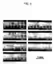 Fig. 05 - Method for surface modification of oxide ceramics using glass and surface modifed oxide ceramics thereof