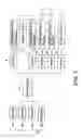 Fig. 03 - Sheet take-out apparatus