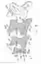 Fig. 09 - Sacral support member for seating