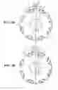Fig. 03 - Rotor for reluctance type rotating machine