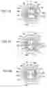Fig. 10 - Spark plug having a plurality of center electrodes