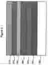 Fig. 03 - Organic light emitting device capable of white light emissions and method for making the same