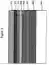 Fig. 04 - Organic light emitting device capable of white light emissions and method for making the same