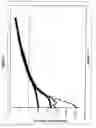 Fig. 06 - Organic light emitting device capable of white light emissions and method for making the same