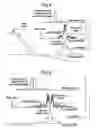 Fig. 04 - Imaging apparatus and method