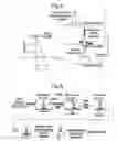 Fig. 07 - Imaging apparatus and method