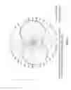 Fig. 07 - Planar E-inverted antenna