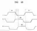 Fig. 07 - Panel driving method for sustain period and display panel using the same