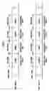 Fig. 32 - Display apparatus