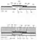 Fig. 25 - Inkjet printhead with integral nozzle plate