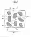Fig. 04 - Image forming apparatus