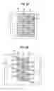 Fig. 07 - Image forming apparatus