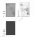 Fig. 03 - Characteristic correction apparatus for gamma correcting an image based on the image type