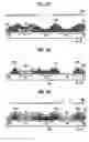 Fig. 06 - Liquid crystal display device and method for fabricating the same