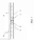 Fig. 02 - Composite liquid crystal panel
