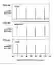 Fig. 05 - Thin film multilayer body, electronic device and actuator using the thin film multilayer body, and method of manufacturing the actuator
