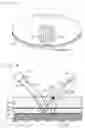 Fig. 04 - Method of scanning and scanning apparatus