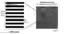 Fig. 01 - Multilayer polymer gradient index (GRIN) lenses